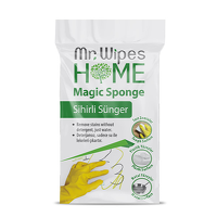 MR.WIPES ღრუბელი MAGIC SPONGE